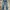 Bigjohn Big Washing Jeans Bootcut Fit