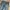Bigjohn Big Washing Jeans Bootcut Fit photo 4