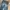 Bigjohn Big Washing Jeans Bootcut Fit photo 7