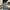 Bigjohn Big Washing Jeans Bootcut Fit photo 2