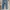 Bobson Chessking Jeans photo 6