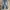 Bobson Chessking Jeans photo 1