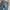 Bobson Chessking Jeans photo 7