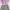 CROP COQUETE PURPLE KNIT PITA photo 1
