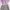 CROP COQUETE PURPLE KNIT PITA