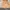 Dress Midi Vintage Motif Bunga – Warna Peach Tua photo 1