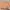 Dress Midi Vintage Motif Bunga – Warna Peach Tua photo 2