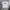 WTAPS - WTVUA TEE T-SHIRT WHITE photo 8
