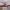 Red and White Belt photo 2