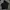Hoodie Nike Small Swoosh (Boxy) photo 1