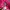 tracktop adidas europa pink photo 2