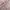 Dior Luxury Lolita Blouse Wanita white pink photo 4