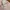 Dior Luxury Lolita Blouse Wanita white pink photo 6