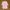 Dior Luxury Lolita Blouse Wanita White Pink