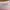 Dior Luxury Lolita Blouse Wanita white pink photo 3