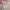 Dior Luxury Lolita Blouse Wanita white pink photo 5