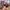 Supreme Streetwear Y2K Hat Pria multicolor photo 2
