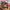 Supreme Streetwear Y2K Hat Pria Multicolor