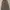 Trouser Brown Knit Pants Love&Flair photo 1