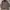 Timberland Parka Coat Jacket photo 1