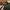 Stradivarius Ribbed Turtleneck Top In Green