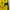Jersey Dortmund LS 2016 UCL Version photo 5