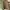 Casual Windbreaker Pria tan cream photo 5