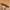 Canvas belt photo 3