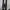 Legging The Executive