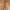 Canvas Belt  photo 1