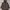 Timberland hooded Windbreaker Parka Coat Jacket photo 1