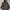 Timberland Hooded Windbreaker Parka Coat Jacket