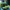 Adidas Casual Casual shoe Pria green black photo 4