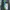 Adidas Casual Casual shoe Pria green black photo 2