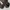 Burberry Black Label Long Pants Corduroy Regular Fit Pants photo 6