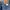 Vintage Levis 577 Bootcut Jeans photo 8
