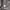 Adidas ZNE Fast Release Fullzip photo 3