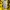 Dortmund x KidSuper 2025 - 2026 #27 Adeyemi Original Jersey photo 8