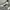 Thisisneverthat 3 LINES Logo Crewneck Grey photo 5