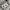Thisisneverthat 3 LINES Logo Crewneck Grey photo 6