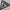 CN Guess  photo 2