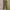 Coen Japan - Buckel Back Fatigue Pants photo 1