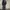 Led-Zeppelin Parka Jacket Black photo 3