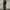 Led-Zeppelin Parka Jacket Black photo 2