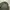 Guess parka jacket Green Army Liam style photo 5