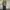 Guess parka jacket Green Army Liam style photo 1