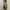 Long Froal Beach Backless Summer Dress Maxi Vintage  photo 6