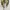 Long Froal Beach Backless Summer Dress Maxi Vintage  photo 4