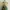 Long Froal Beach Backless Summer Dress Maxi Vintage  photo 7