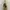 Long Froal Beach Backless Summer Dress Maxi Vintage  photo 5